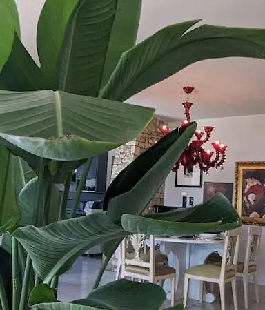 Khaki Villa *