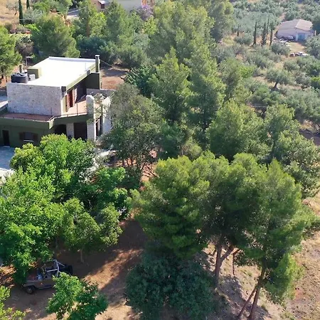 Khaki Villa Fichti