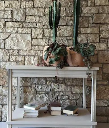 Khaki Fichti
