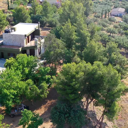 Khaki Villa Fichti